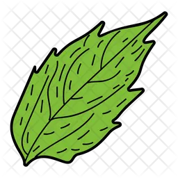 Alder Leaf  Icon