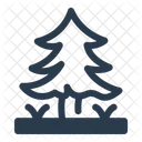 Aleppo Kiefer Kuste Wald Symbol