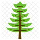 Cipres Arbol Alerce Icono