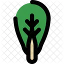Alface  Ícone