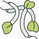 Alfalfa Sprouts Diet Icon