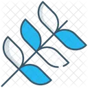 Alfalfa honey  Icon