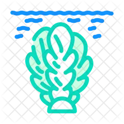 Algae  Icon