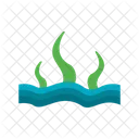 Algae  Icon