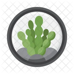 Algae  Icon