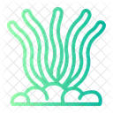 Algae Seaweed Aquatic Icon
