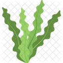 Algae  Icon