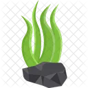 Algae  Icon