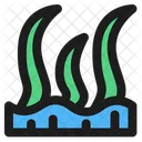 Algas marinas  Icon