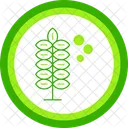 Allergie Au Pollen Allergie Au Pollen Allergie Rhume Des Foins Sensibilite Aux Allergenes Immunologie Pollinisation Allergie Saisonniere Icon