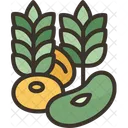 Allergy Lupins Protein Icon