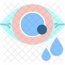 Allergy Conjunctivitis Eye Icon