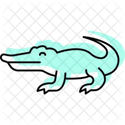 Alligator  Icon