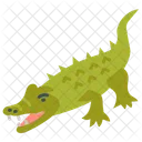 Alligator  Icon