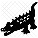 Alligator  Icon