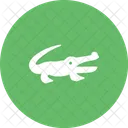 Alligatore  Icon