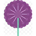Alliums  Icon