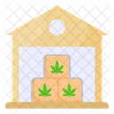 Cannabis Marihuana Canamo Icono