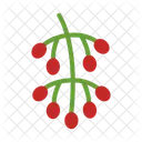 Almez Arbol Follaje Icon