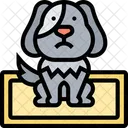 Almohadillas De Orina Para Mascotas Absorcion De Orina Para Mascotas Mascota Icono