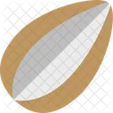 Almond Food Icon Icon