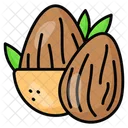 Almond Healthy Food Icon