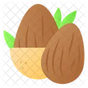 Almond Healthy Food Icon