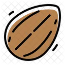 Almond Food Sweet Icon