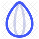 Almond Icon