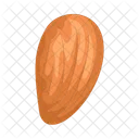 Almond Nut Chestnut Signs Icon