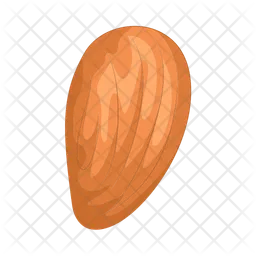 Almond  Icon