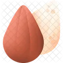 Almond Food Sweet Icon