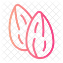 Almond Sweets Icon