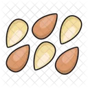 Almond Fruit Nuts Icon