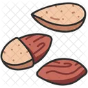 Nut Almond Healthy Icon