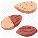 Nut Almond Healthy Icon