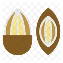 Almond Nut Seed Icon