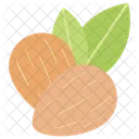 Almond Dried Fruit Healthy Food Icon