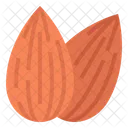Almond Nut Nutrition Icon