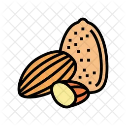 Almond  Icon