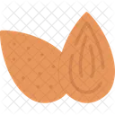 Almond Kernel Nut Icon