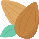 Almond  Icon