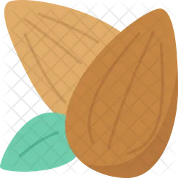 Almond  Icon