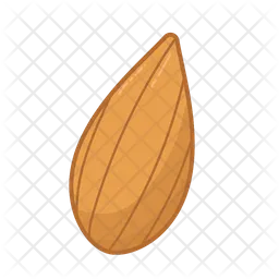 Almond  Icon