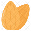 Almond Nut Sweet Almond Icon