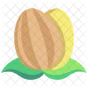 Almond Food Sweet Icon