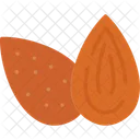 Almond Kernel Nut Icon