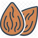 Almond  Icon