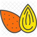 Almond  Icon