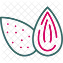 Almond  Icon